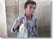 ������̎q��