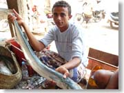 ���Ȃ������������N