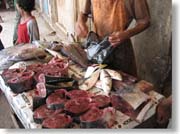 ���̐؂蔄��