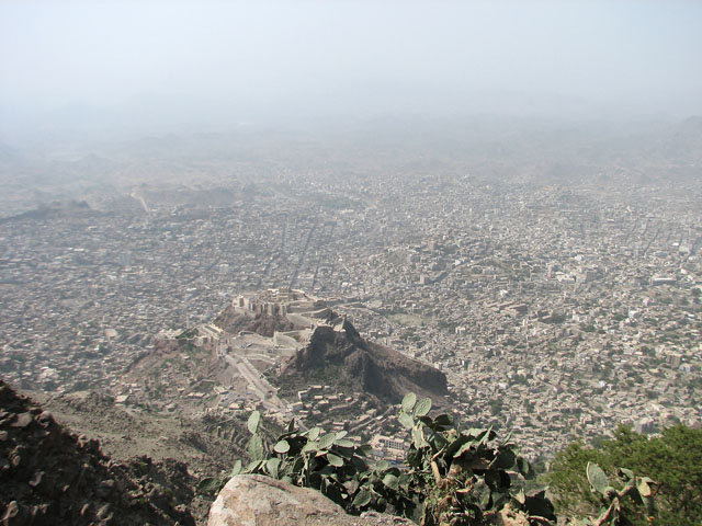 �^�C�Y���i