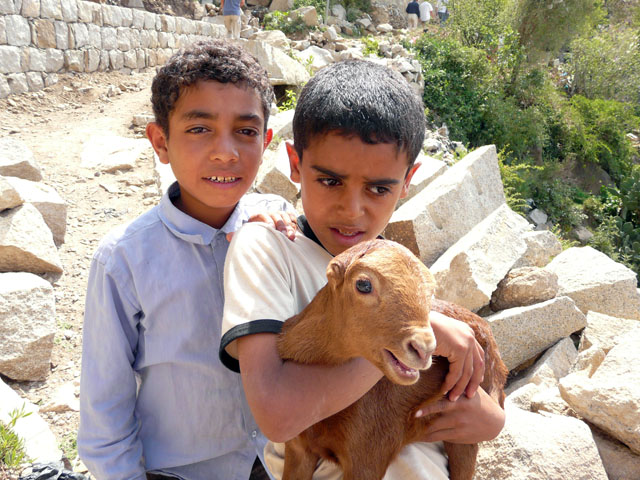 �R�r����������������N