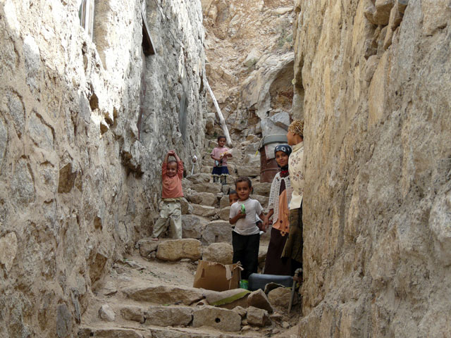 �D��ȖڂŌ���q���B