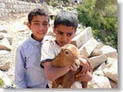 �R�r����������������N