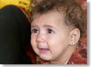 �����q��