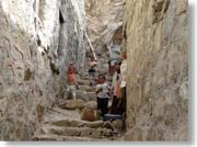 �D��ȖڂŌ���q���B