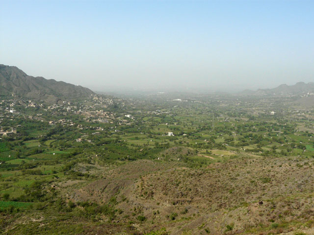 �ΖL���Ȍi�F