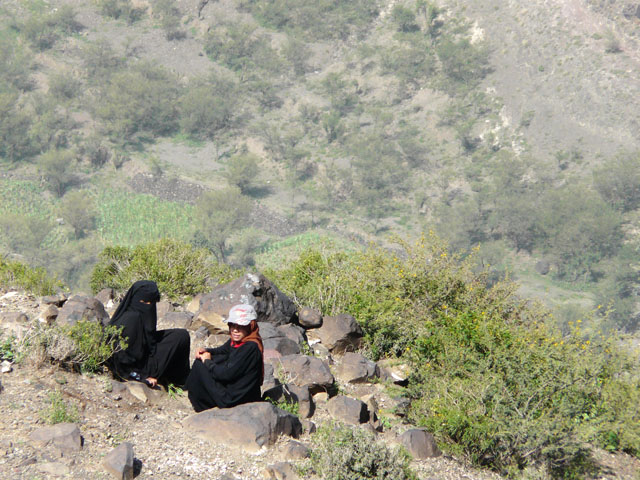 ������(�Z�C���j��)