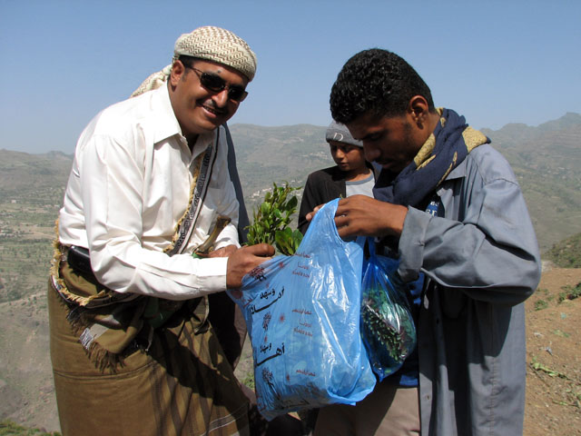 �J�[�g�𔃂����M�u����