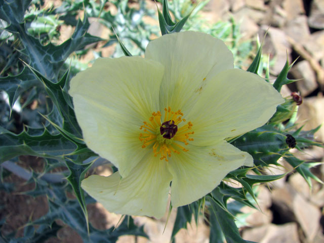 ���F����