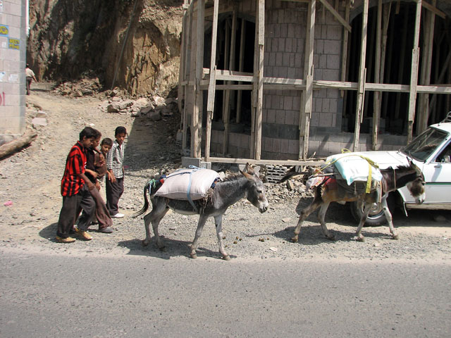 ���o�Ə��N�B