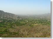 �ΖL���Ȍi�F