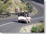 �ב�ɏ�����q���B�P