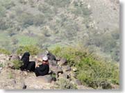 ������(�Z�C���j��)