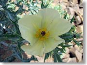 ���F����