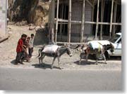 ���o�Ə��N�B