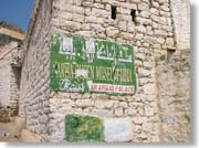 �A���������̋{�a������̊Ŕ�