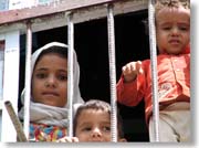 �����낵�Ă���q���B�Q