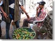 �T�{�e���̎�