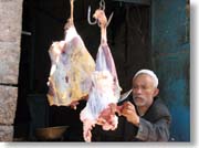 �������΂���������