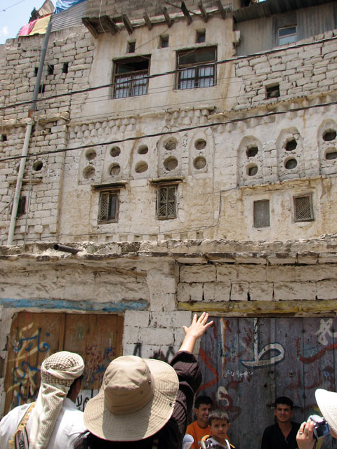 �c�ɂӂ����������Ă��錚��