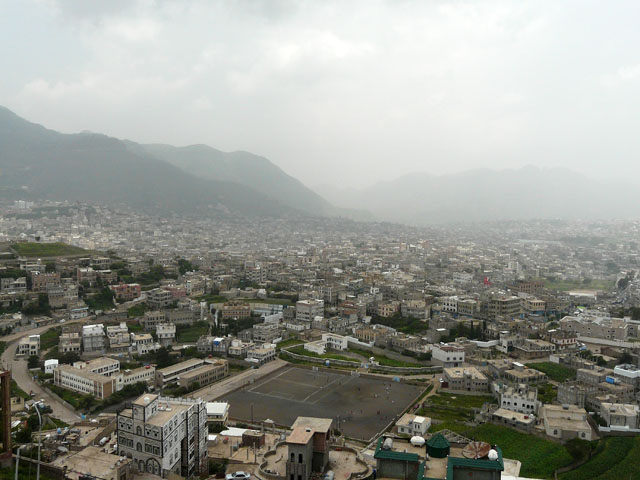 �C�b�u���i