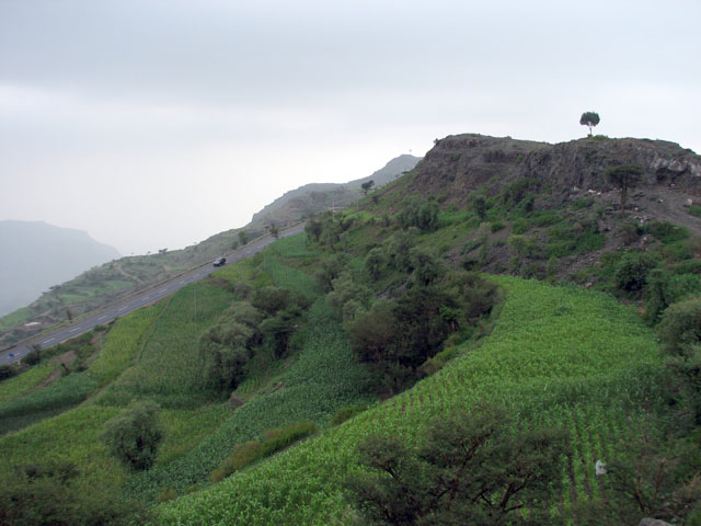 �΂̃X�}����