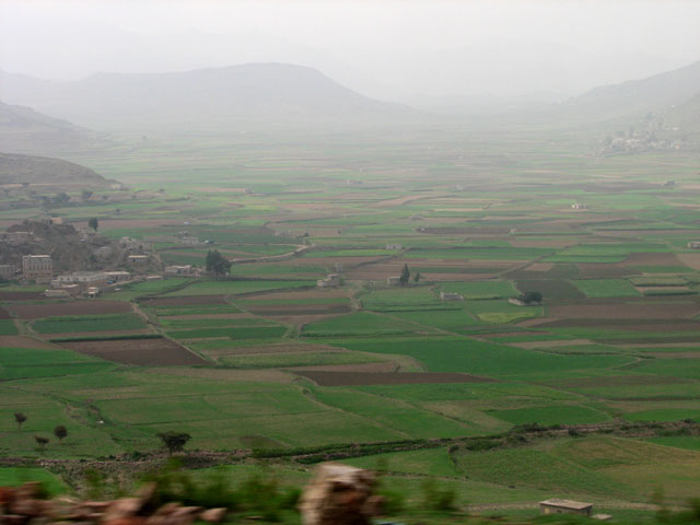 �c�����i