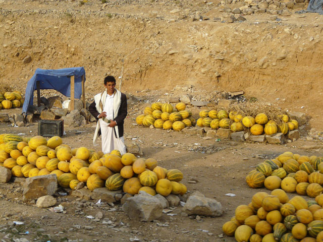 ���H�e�̉Z����