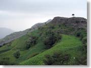 �΂̃X�}����