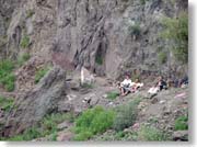 �R���Ղ��ŃJ�[�g���y���ޒj�B