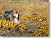 ���H�e�̉Z����