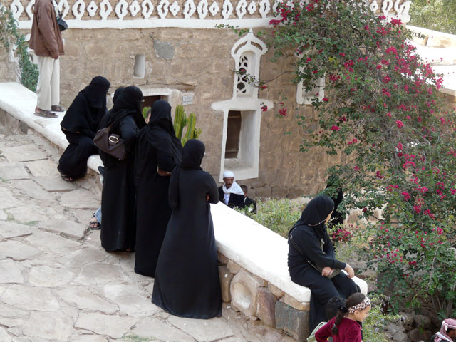 �W�����r�[�A�_���X�����鏗�B