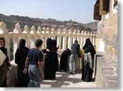 �o���R�j�[�̗l�q