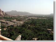 �o���R�j�[���猩�����i