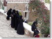 �W�����r�[�A�_���X�����鏗�B