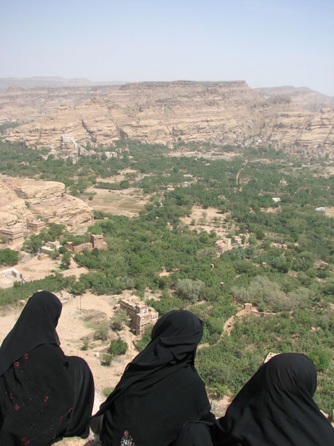 �R���Ղ��ɍ��鏗���B