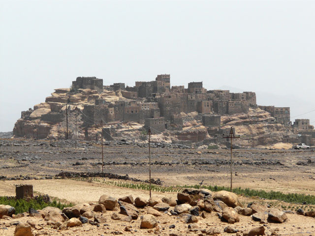 ��̏�ɒz���ꂽ��(�O���U�[�h�E�S���U����)