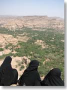 �R���Ղ��ɍ��鏗���B