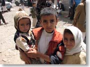 �q����������q��