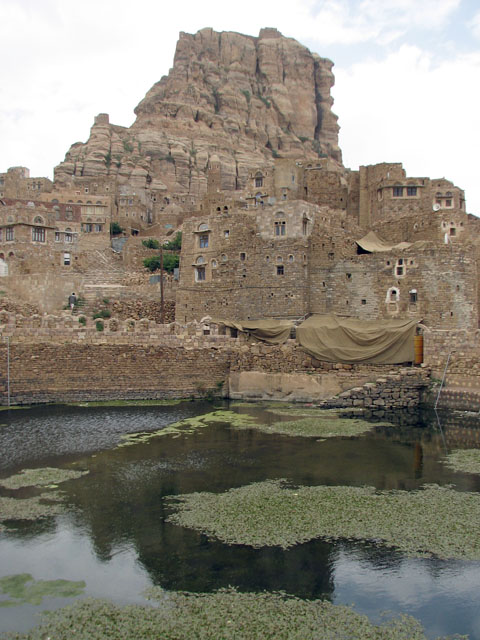 �r�̌������̉ƁX