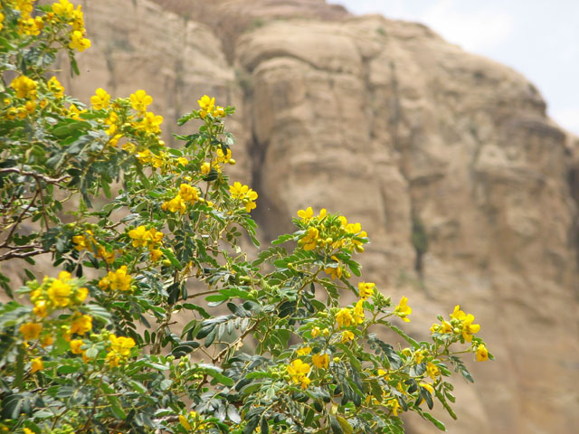 ���F����