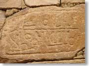 �V�o�����̕���