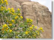 ���F����