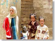 �R�l�̎q���Q