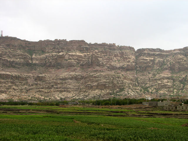 �R�[�J�o���ƃV�o�[�����i