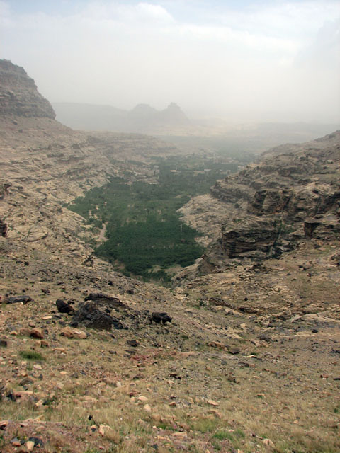 ���f�B�E�i�f�B�[��