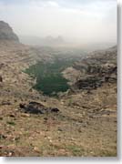 ���f�B�E�i�f�B�[��