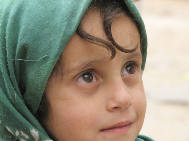 �q���̊�̃A�b�v