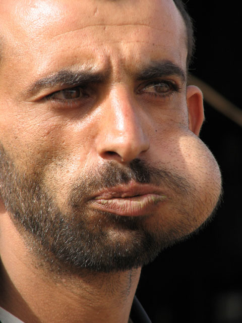 �J�[�g�łӂ��ꂽ�j