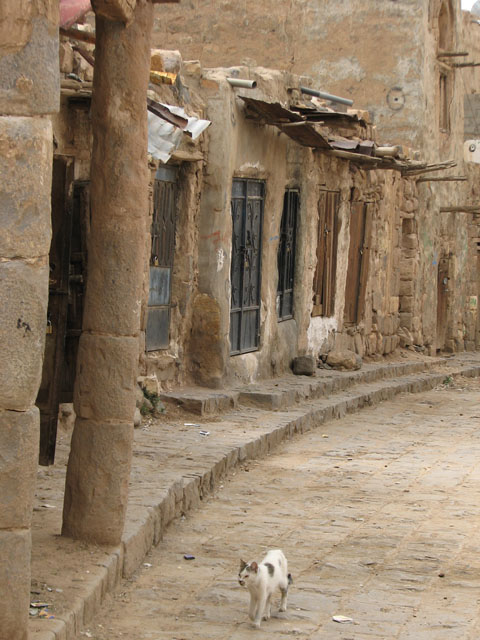 �ʂ������L